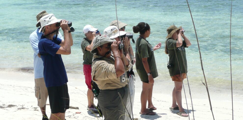 bird-watching-neto