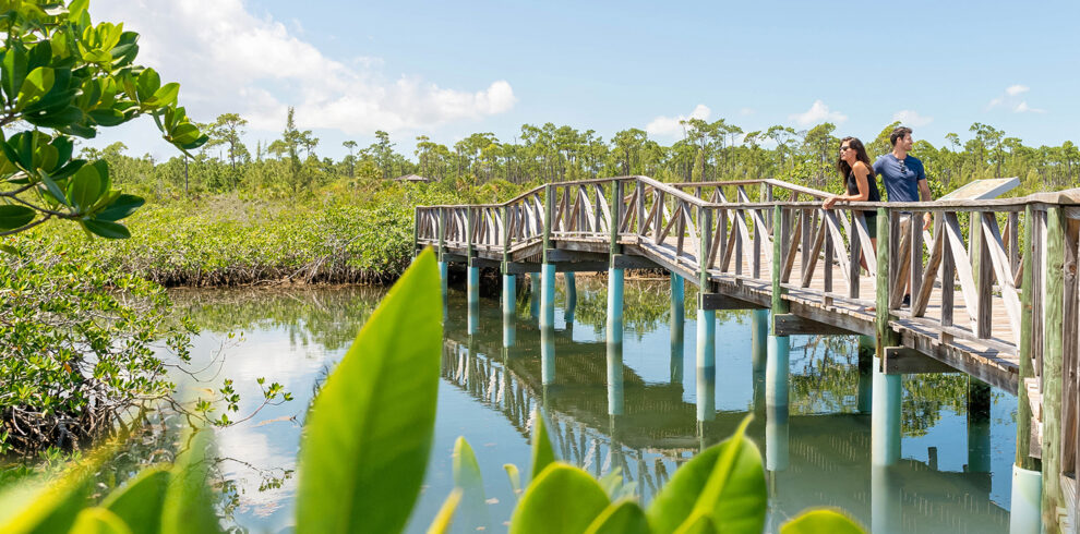 ecotour
