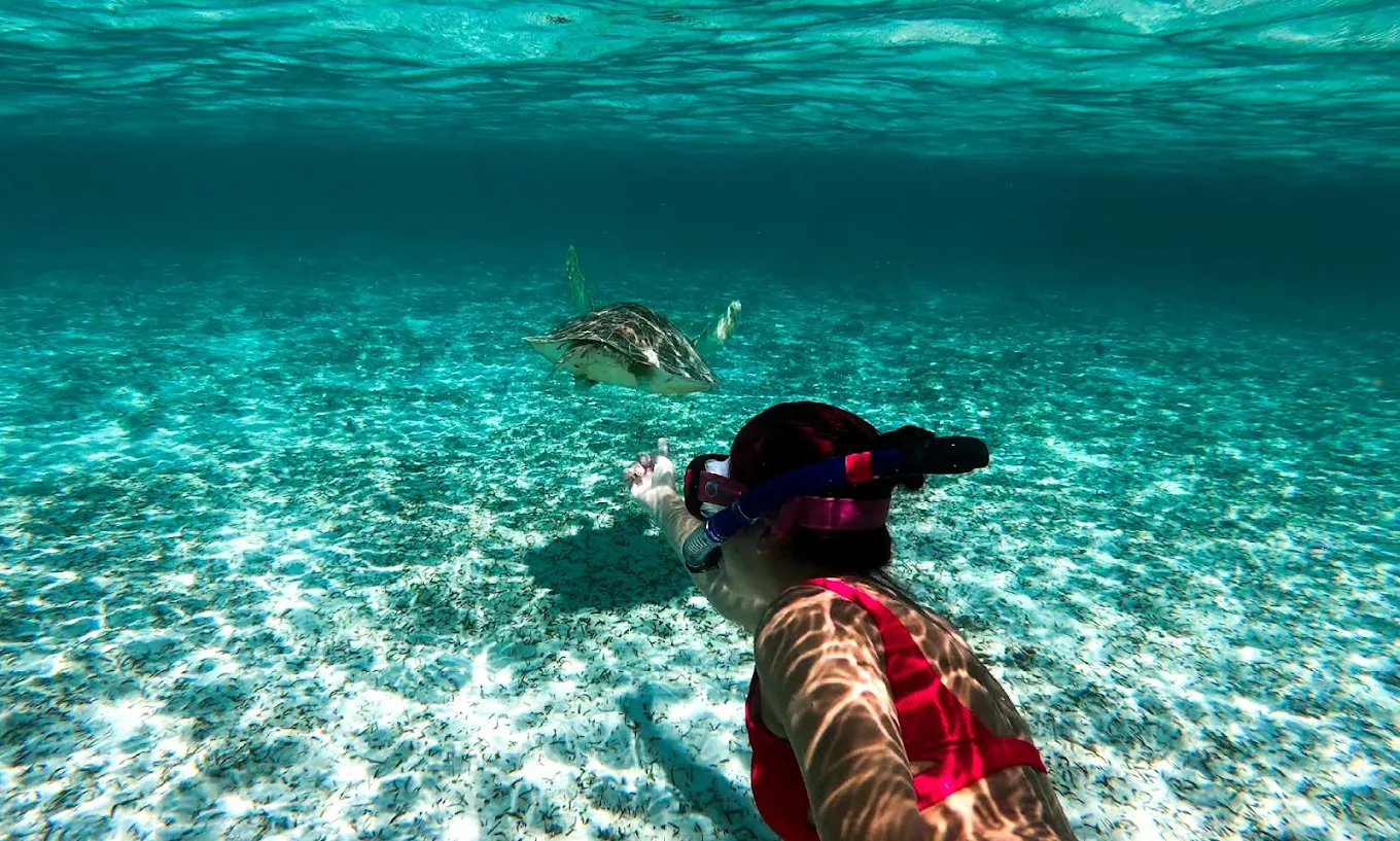 snorkeling